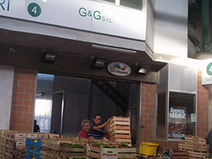 stand 6